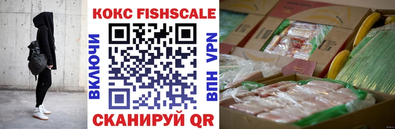 гидра онион  Сухиничи  COCAIN Fish Scale 